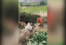 What is happening there?