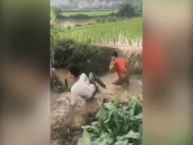 What is happening there?